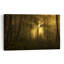 Chemin de forêt enchanté - Affiche murale représentant un paysage forestier mystique, onirique et éthéré-661024543