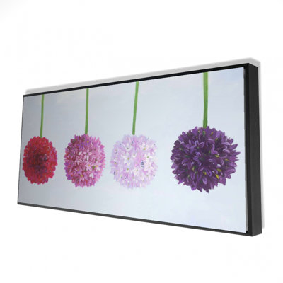 Dahlia Pomponowa Print On Canvas
