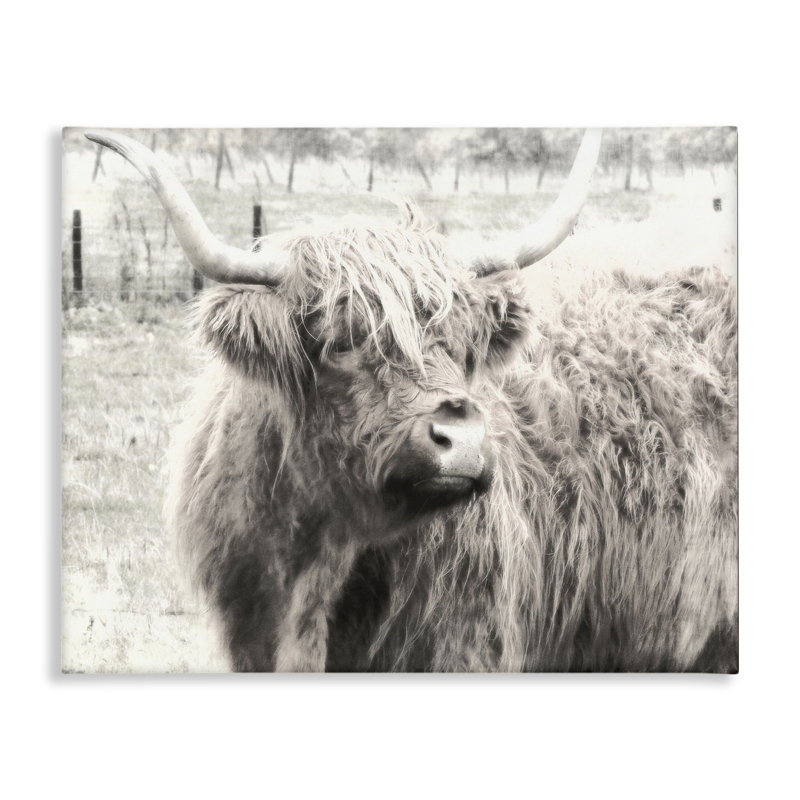  Art mural sur toile Highland Cow Cowing Portrait par Graffi *ee Studios, H 24 po x l 30 po