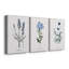 «Imperial Blue», ensemble de 3 reproductions d'art sur toile tendue-937789503