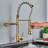 Senlesen Pull Down Kitchen Faucet