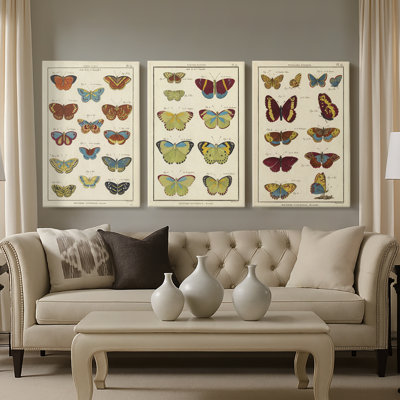 Histoire Naturelle Butterflies I - Toile tendue avec châssis sur mesure - 3 pièces