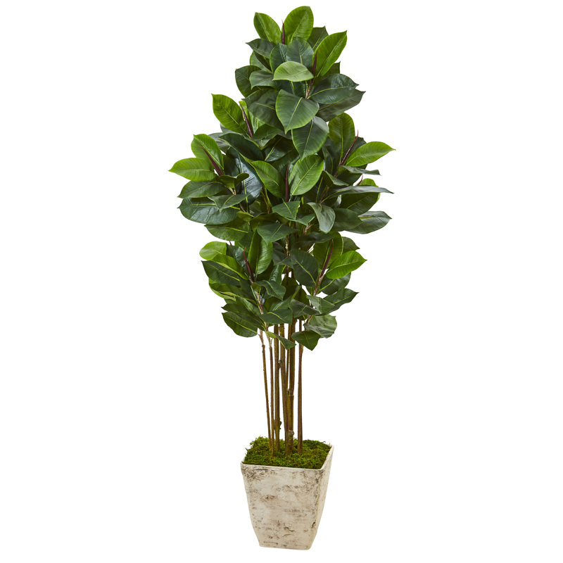63'' Faux Rubber Leaf Tree in Planter