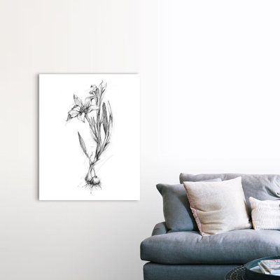Botanical S croquis I, art mural sur toile