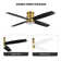 Bonnitta 52'' Ceiling Fan with LED Lights