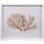 Sealife Print