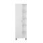 Gianlucca Freestanding Bathroom Storage