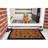 Non-Slip Floral Outdoor Doormat