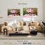 Roses de jardin Harnek-108736076