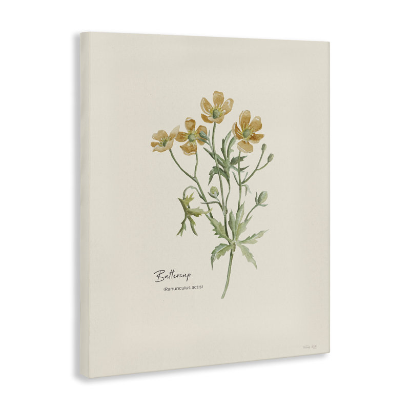 «Simple Buttercup Flowers» par Cindy Jacobs, H 20 po x l 16 po