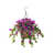 Mauve est en rupture de stock