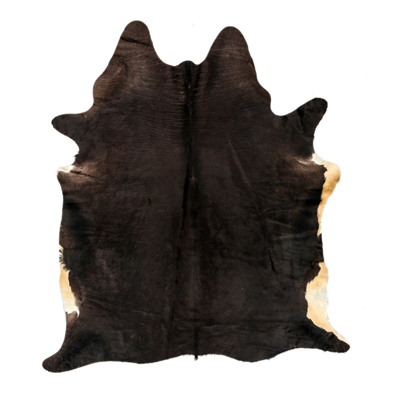 Paignt One-of-a-Kind 5'5" x 6'7" Area Rug in Black