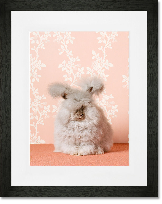 'Bunny on Pink' by Catherine Ledner Photographic Print GreenBox Art 