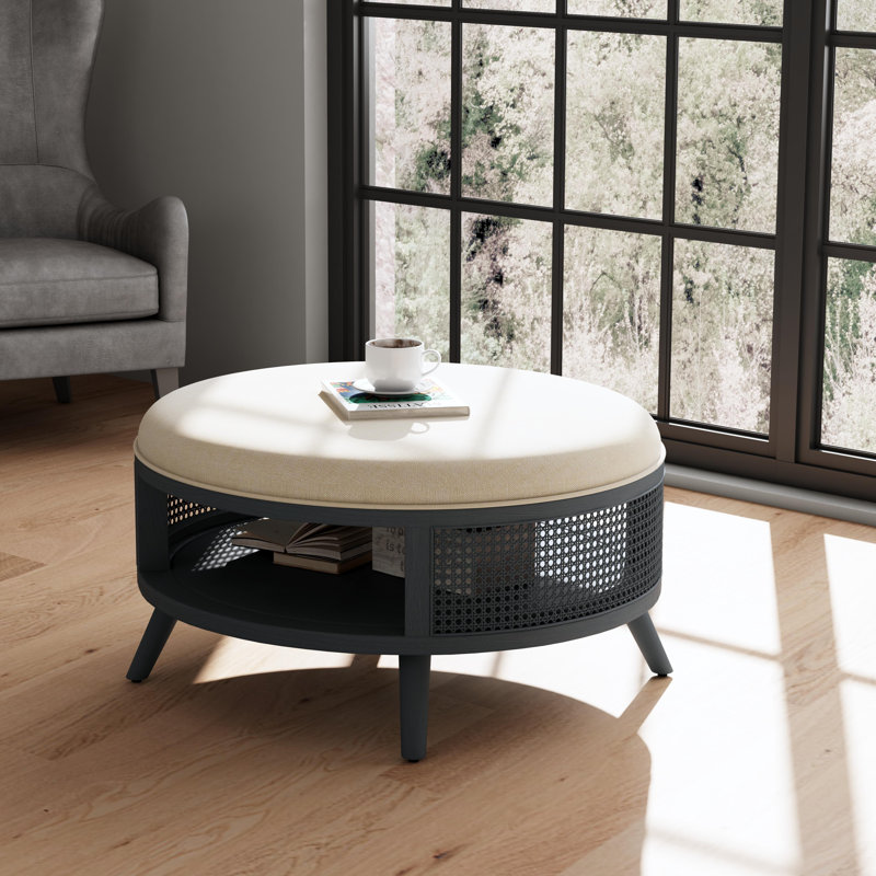 Pothos Round Rattan Coffee Table with Storage, Black