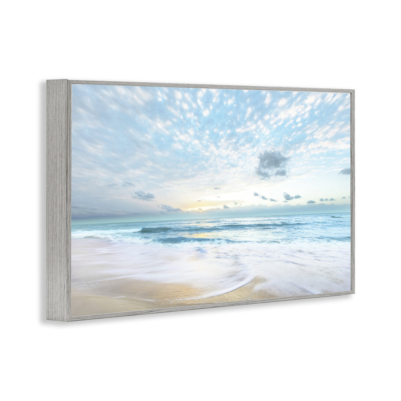 Giclée encadrée Sun Sun Bleached Ocean Shore, conception de Danita Delimont, Estampe numérique Farmhouse, H 16 po x l 24 po