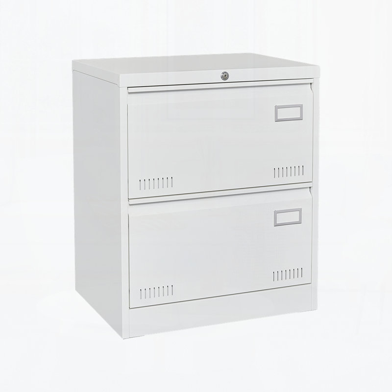2 Drawer Metal Lateral File Cabinet with Lock,Office Vertical Files Cabinet for Home Office/Legal/Letter/A4, White