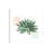 Desert Color Succulent II Mint by Sue Schlabach - Gallery-Wrapped Canvas Giclée on Canvas-463145164-463145166