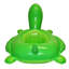 Flotteur pour piscine CocoNut
