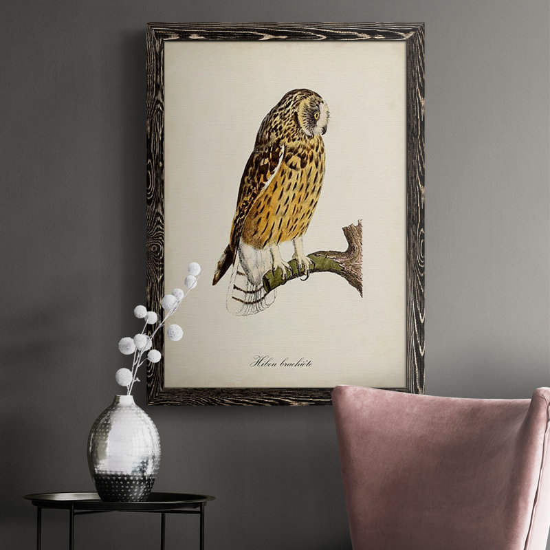 Maddock French Owls II, H 37,5 po x l 27,5 po x P 1 po, Cadre noir