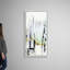 Art mural sur toile Bamboo Marsh II-345925890-345925892