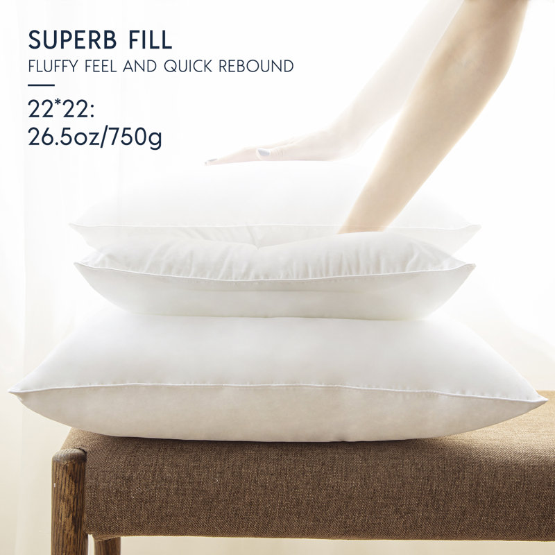 Phantoscope 100% Cotton Stuffer Decorative Throw Pillow Insert, Square 22"H x 22"W