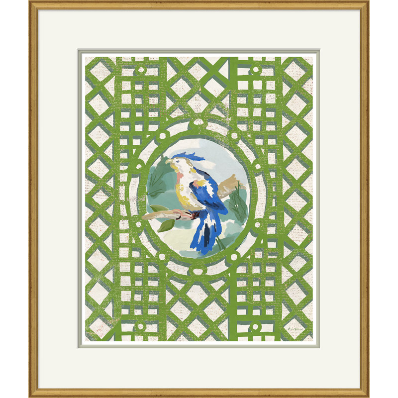 Aviary Framed Print by Dana Gibson