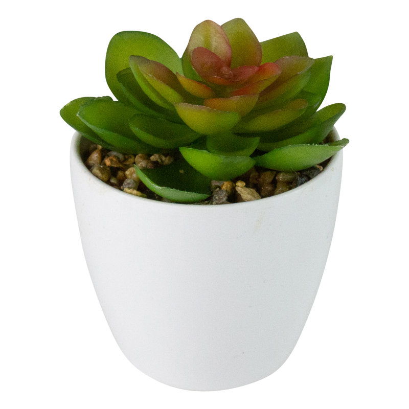 Mini plante grasse artificielle en pot blanche 4 po