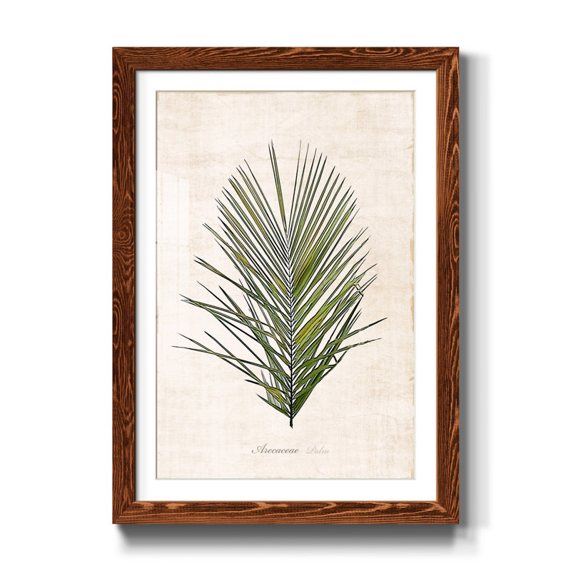 " Palm Botanical I ", Maple, 37.5" H x 27.5" W x 1" D