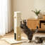 79cm H Cat Tree-1701118047