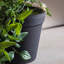 Faux Devil's Ivy Plant in Plastic Pot-1054533771