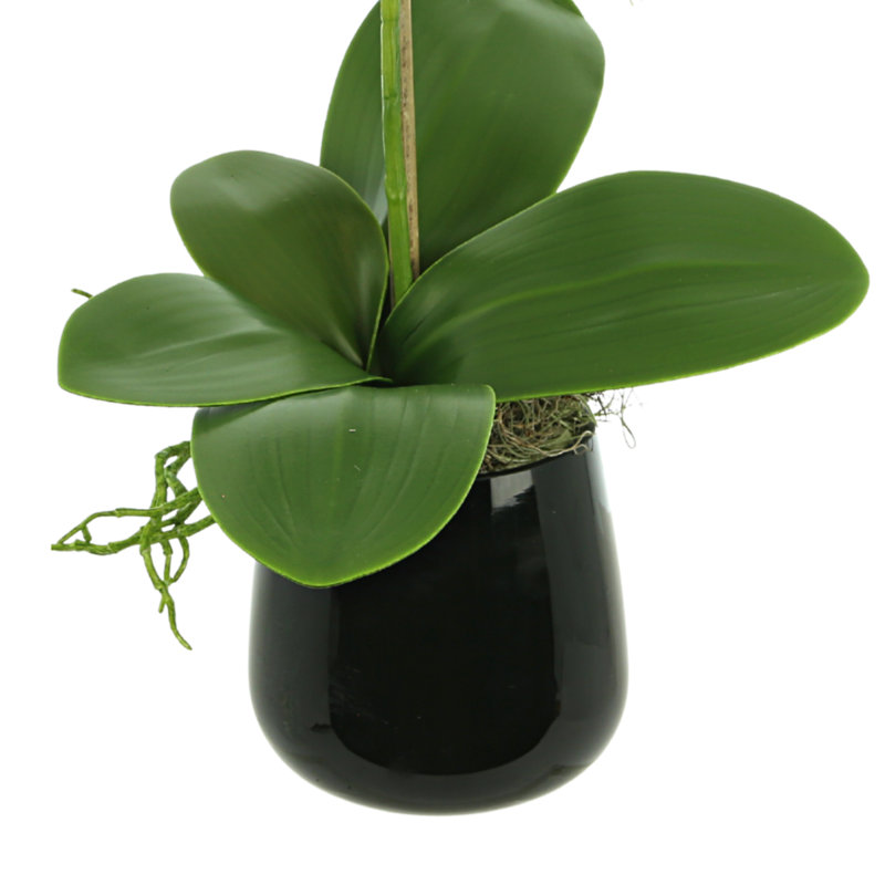 Orchid Faux Floral in Vase