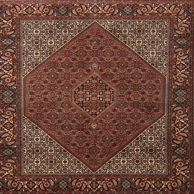 Oriental Indoor Rug