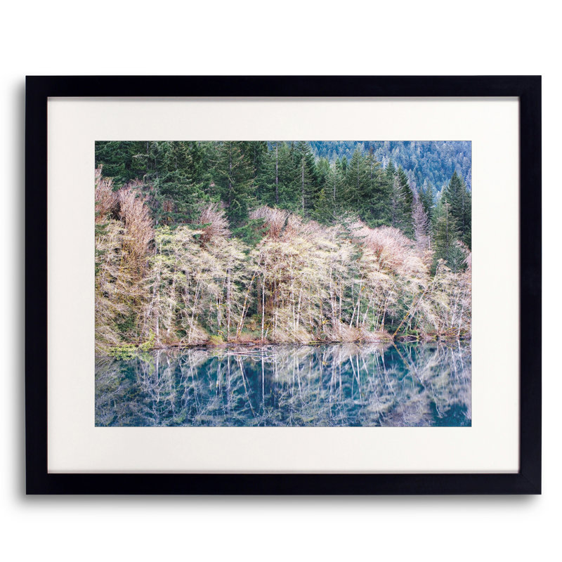 Spring Alder Grove On Lake Crescent Print by Bruce Heinemann, 17.25" H x 21.25" W x 0.875" D