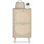 Lavenia 2-Drawer Manufactured Wood Shoe Cabinet-105009585