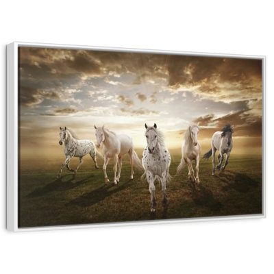 Chevaux blancs dramatiques
