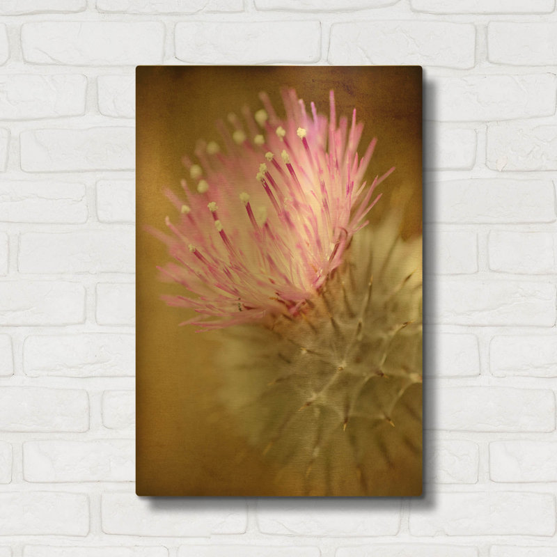 « Fleur de chardon » de Jessica Rogers, tableau mural en métal doré, 40,6 x 61 cm, 16 po x 24 po