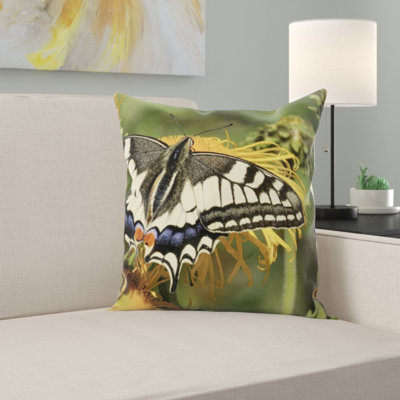 Coussin queue d’aronde