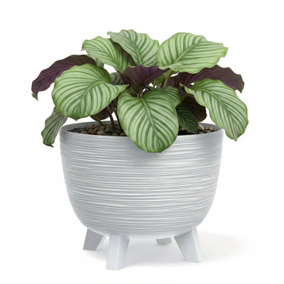 Pot Planter