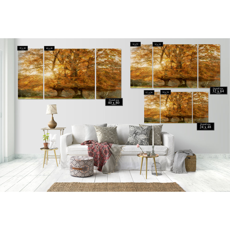 Couple de hêtres - ensemble de 3 reproductions de photos sur toile, H 40 po x l 80 po x P 1,5 po