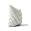 Coussin Zebra-107834669-107834664