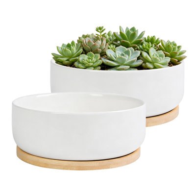 Lot de 2 pots ronds en céramique blanche pour plantes succulentes et hydroponiques. Parfait pour le salon et le bureau. Petit pot en céramique avec trou de drainage, style décontracté. Parfait pour la décoration intérieure et extérieure. Cadeau idéal pour les amateurs de jardinage et de loisirs créatifs.