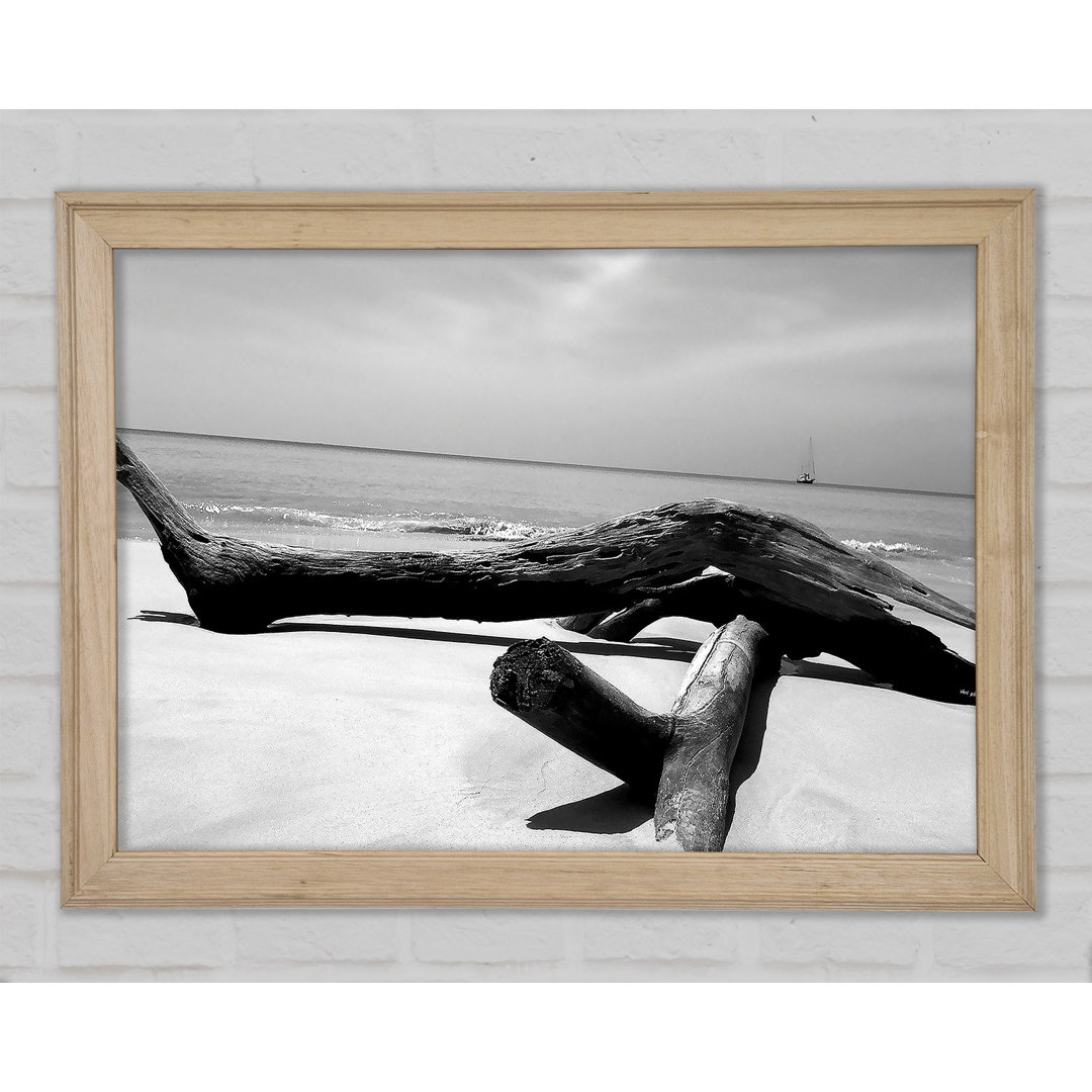 Gerahmtes Leinwandbild Ocean Drift Wood On The Shore B N W