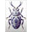 Machine Washable Insect Patterned Blue Area Rug-926555045