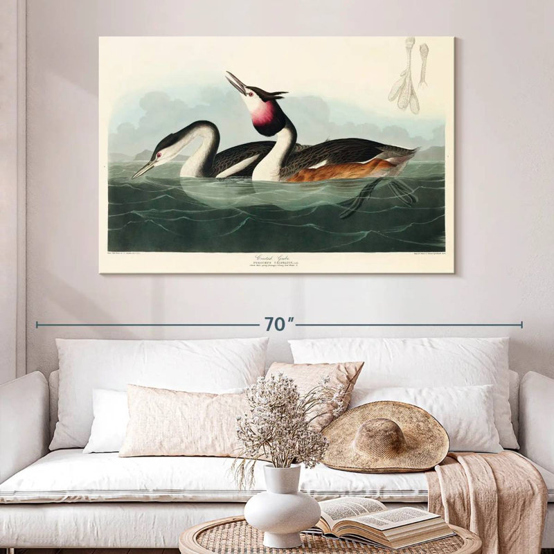 Brampt Crested Grebe, 34" H x 51" W