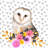 Beautiful owl - 32"x32" art on canvas
