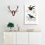 Bird Illustrations PL. 3e by Charles D Orbigny - Wrapped Canvas-55363408