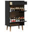 Shoe Storage Cabinet