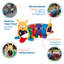 Tunnel de chenille ECR4Kids GUS Climb-N-Ramper, structure de jeu, assorti
