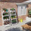 Plant Stand