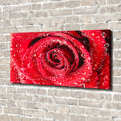 Water Drops On A Rose - Wrapped Canvas Print
